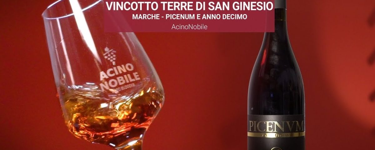 recensione acino nobile